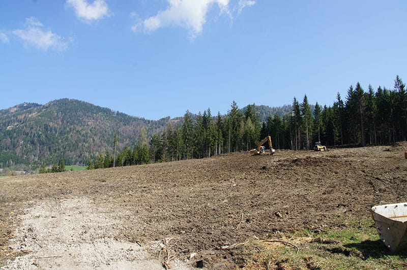 rodung_einer_waldfläche