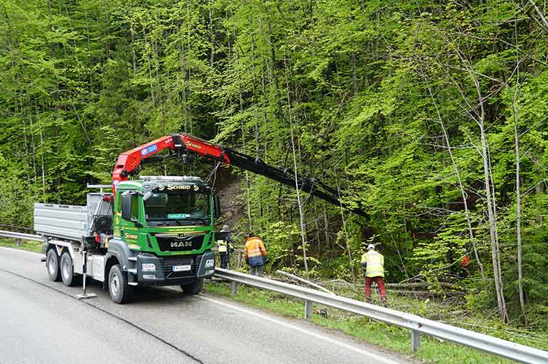 entfernen_von_schadbaeumen_im_bereich_eines_bachlaufes