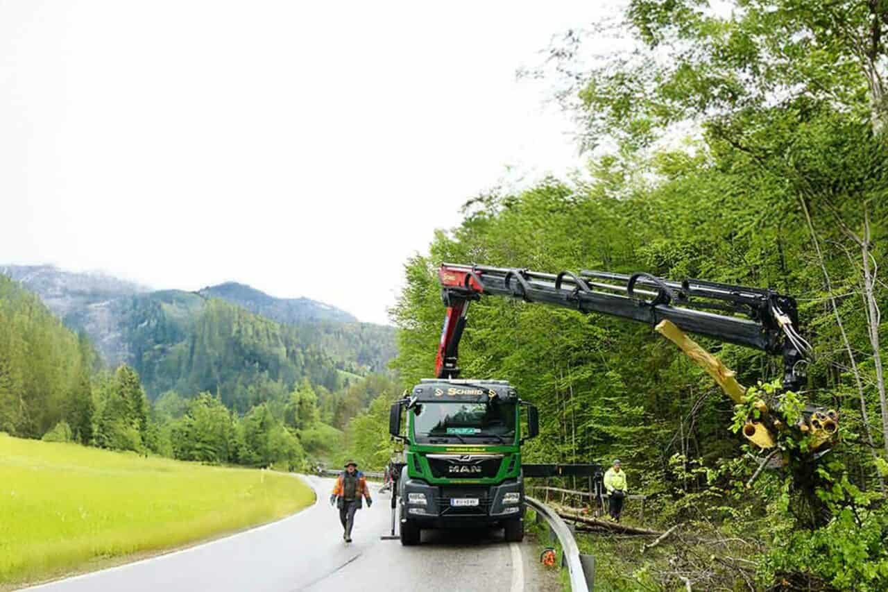 entfernen_von_schadbaeumen_im_bereich_eines_bachlaufes