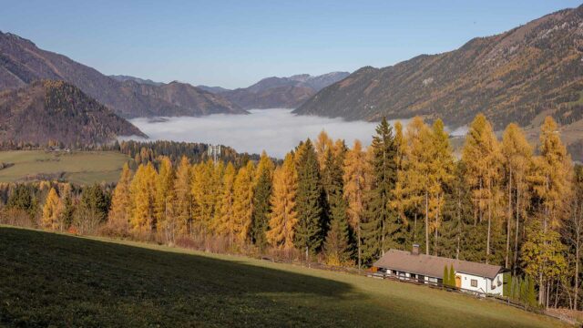 schmid_erdbau_rossleithen_arbeitgeber_arbeitsplatz