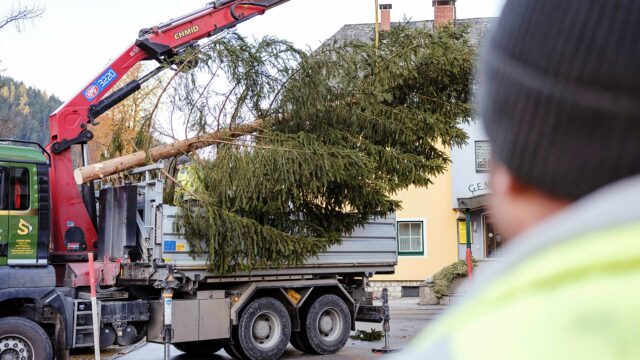 schmid_erdbau_rossleithen_job